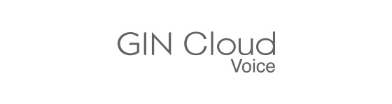 GIN Cloud Voice
